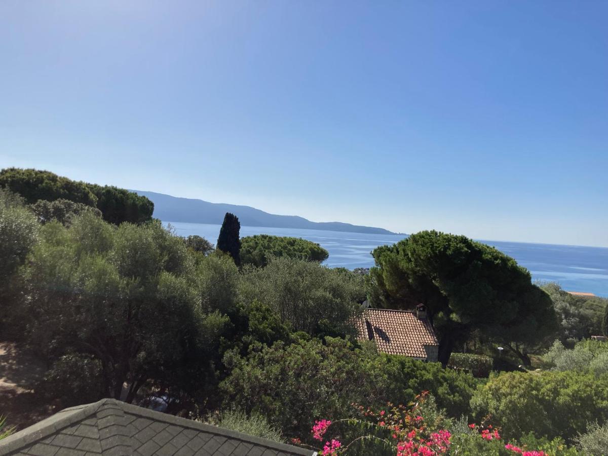 Chez Jean Claude La Villa Des Amis Olmeto  Exterior photo